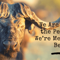 We Are Born the People We’re Meant to&nbsp;Be