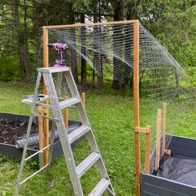 Make Time for Art, Feed Your&nbsp;Soul